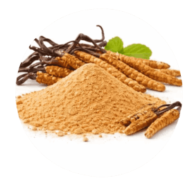 Mindoxa Ingredients